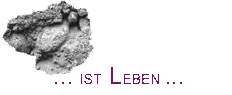 Leben