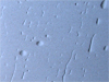 Regentropfen